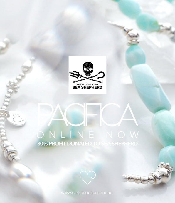 PACIFICA : ONLINE NOW ♡